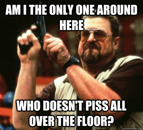 AM I THE ONLY ONE AROUND HERE Who doesn't piss all over the floor?  Public Toilets