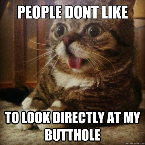 People dont like  To look directly at my butthole  - People dont like  To look directly at my butthole   Sudden Clarity Cat