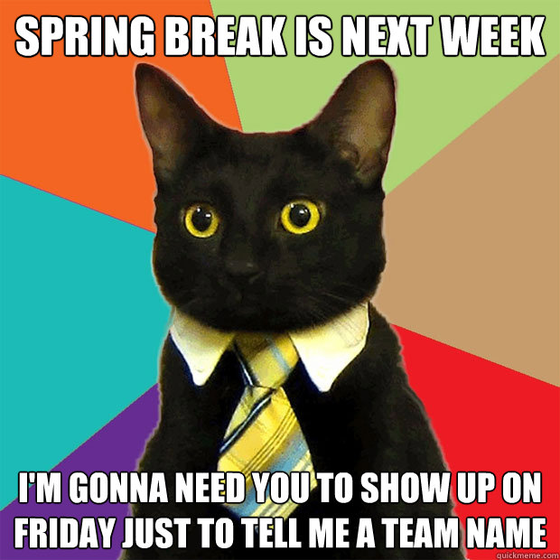Spring Break is next week I'm gonna need you to show up on Friday just to tell me a team name - Spring Break is next week I'm gonna need you to show up on Friday just to tell me a team name  Business Cat