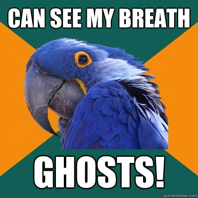 can see my breath ghosts!  Paranoid Parrot