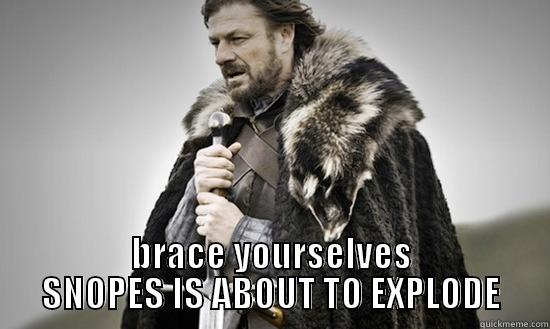 April Fools Day -  BRACE YOURSELVES SNOPES IS ABOUT TO EXPLODE Misc
