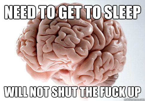 NEED TO GET TO SLEEP WILL NOT SHUT THE FUCK UP   Scumbag Brain