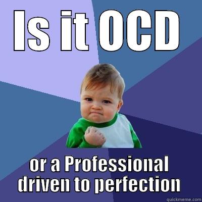 Professional Not OCD - IS IT OCD OR A PROFESSIONAL DRIVEN TO PERFECTION Success Kid