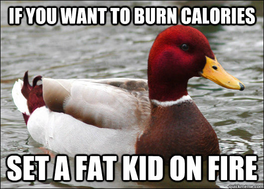 If you want to burn calories set a fat kid on fire  Malicious Advice Mallard