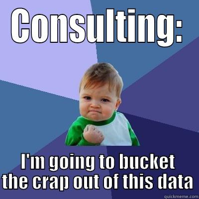 CONSULTING: I'M GOING TO BUCKET THE CRAP OUT OF THIS DATA Success Kid