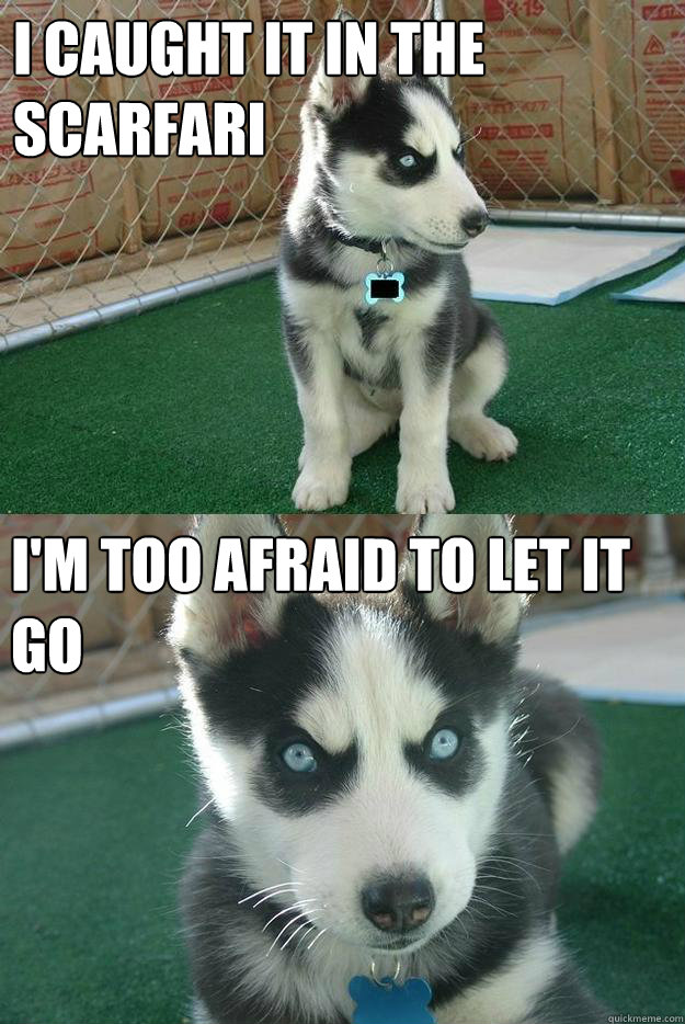 I caught it in the Scarfari I'm too afraid to let it go  Insanity puppy