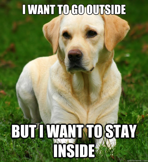i want to go outside but i want to stay inside  Dog Logic