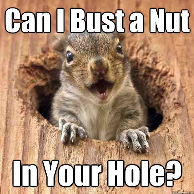 Can I Bust a Nut In Your Hole? - Can I Bust a Nut In Your Hole?  Glory Hole Squirrel