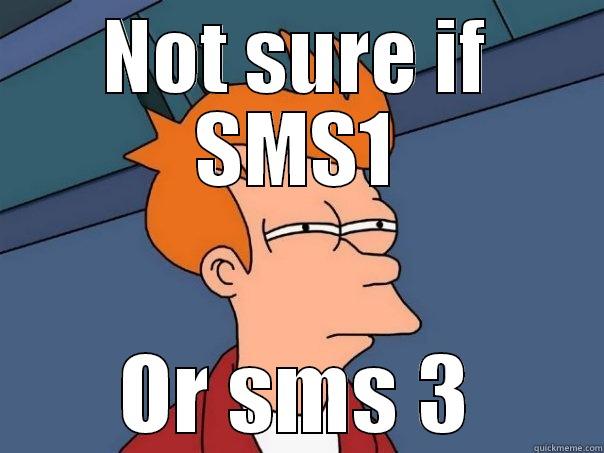 NOT SURE IF SMS1 OR SMS 3 Futurama Fry