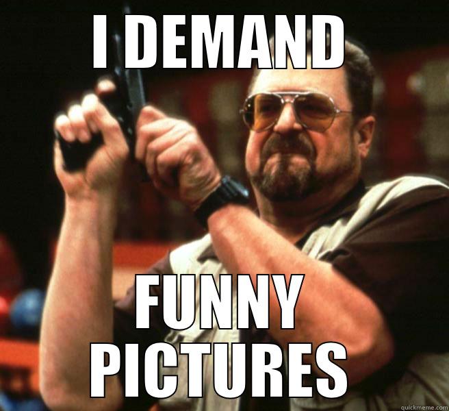 I DEMAND FUNNY PICTURES Misc