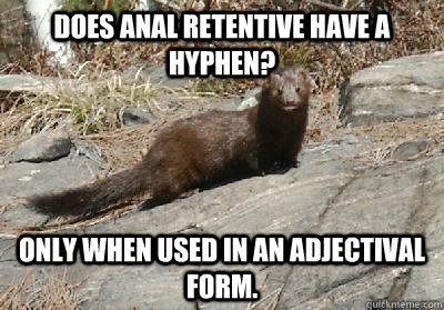 Does Anal Retentive have a hyphen? Only when used in an adjectival form.  Anal Fisher
