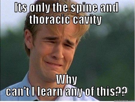 MS 3 - ITS ONLY THE SPINE AND THORACIC CAVITY  WHY CAN'T I LEARN ANY OF THIS?? 1990s Problems