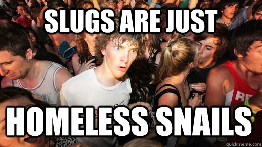 slugs are just homeless snails  Sudden Clarity Clarence