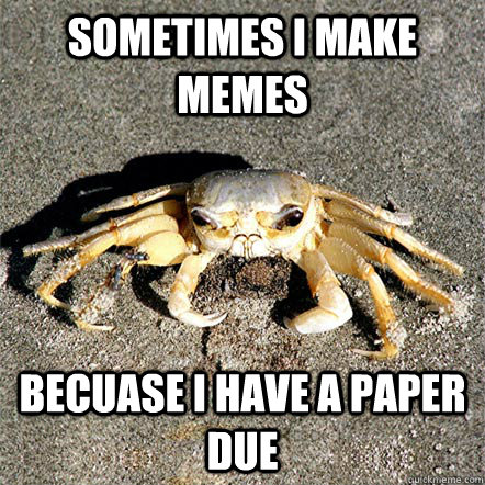 sometimes i make memes becuase i have a paper due  Confession Crab