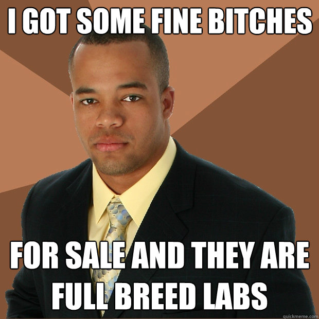 I got some fine bitches for sale and they are full breed labs  Successful Black Man