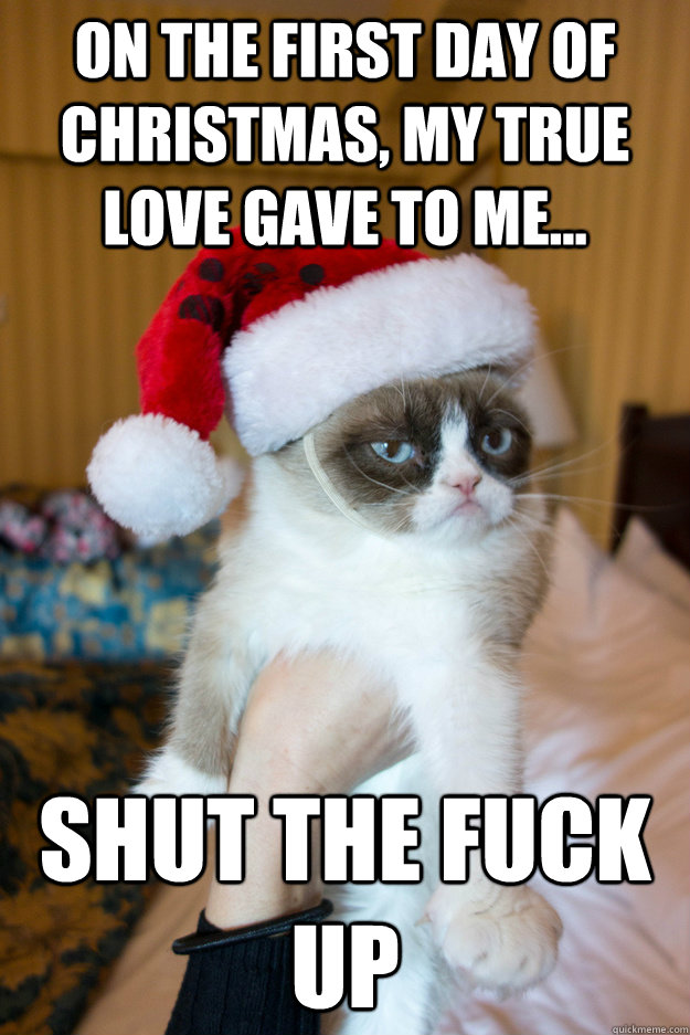 on the first day of christmas, my true love gave to me... Shut the fuck up  Grumpy xmas