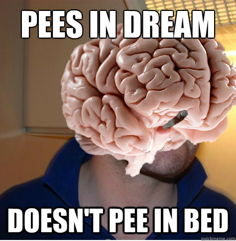 Pees in dream doesn't pee in bed  