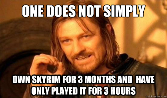 One Does Not Simply own skyrim for 3 months and  have only played it for 3 hours  Boromir