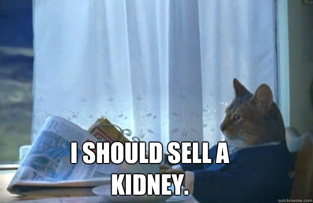  I should sell a kidney. -  I should sell a kidney.  Sophisticated Cat