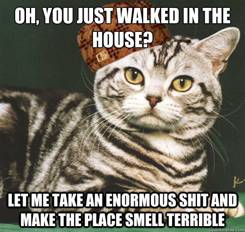 Oh, you just walked in the House? let me take an enormous shit and make the place smell terrible  