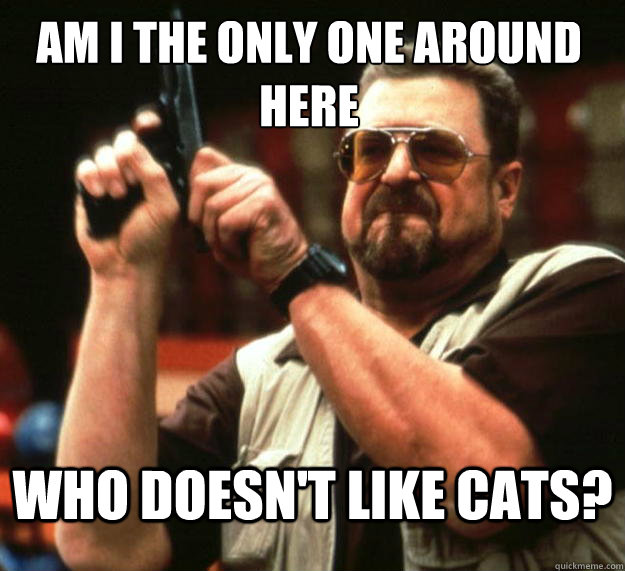 Am I the only one around here Who doesn't like cats?  Walter