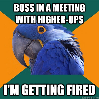 Boss in a meeting with Higher-ups i'm getting fired  Paranoid Parrot