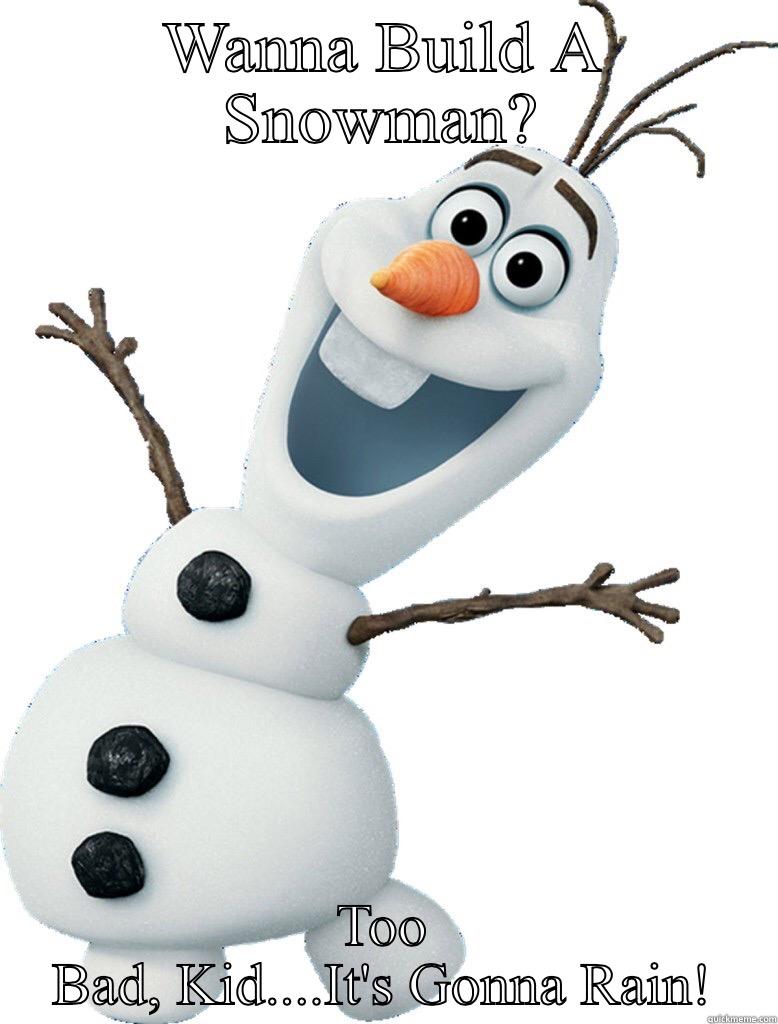 WANNA BUILD A SNOWMAN? TOO BAD, KID....IT'S GONNA RAIN! Misc