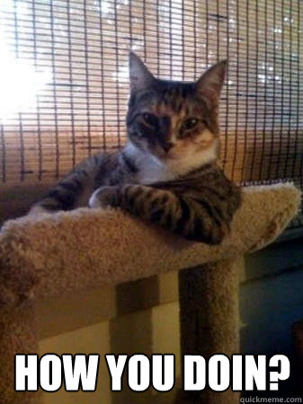  How you doin?  The Most Interesting Cat in the World
