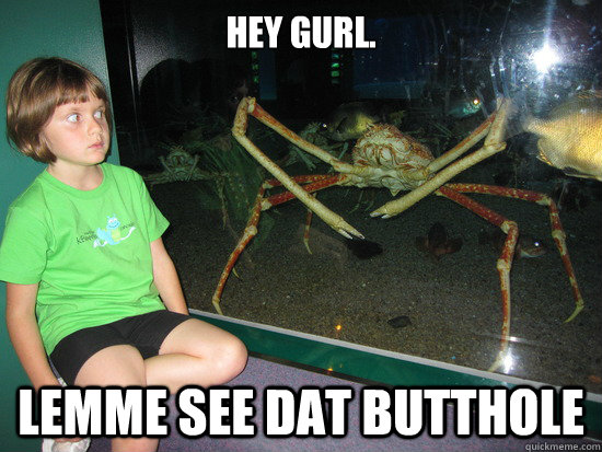 Hey gurl. Lemme see dat Butthole - Hey gurl. Lemme see dat Butthole  wildly inappropriate crab