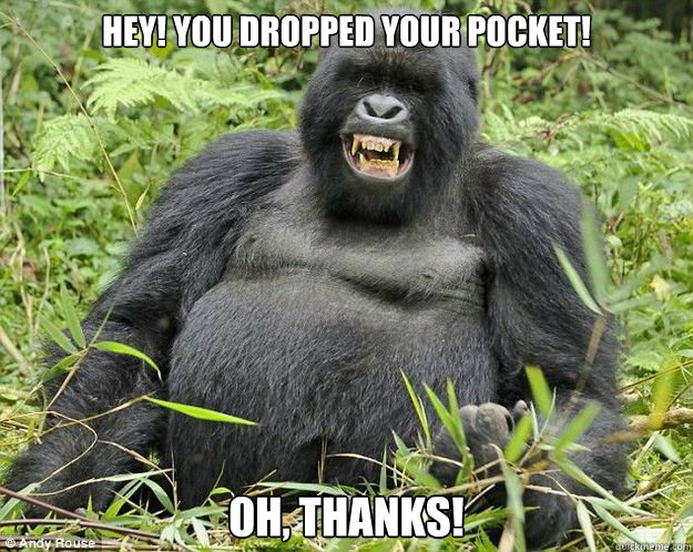 Hey! You dropped your pocket! Oh, thanks! - Hey! You dropped your pocket! Oh, thanks!  Gullible Gorilla