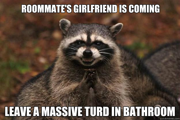 Roommate's girlfriend is coming leave a massive turd in bathroom  Evil Plotting Raccoon