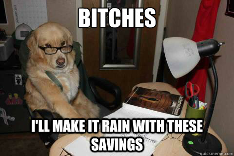 Bitches I'll make it rain with these savings - Bitches I'll make it rain with these savings  Financial Advice Dog