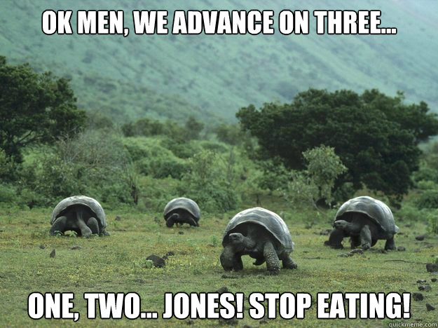 OK Men, we advance on three... One, Two... Jones! Stop Eating! - OK Men, we advance on three... One, Two... Jones! Stop Eating!  TMNT, the later years