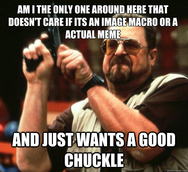 Am I the only one around here that doesn't care if its an image macro or a actual meme and just wants a good chuckle  Walter