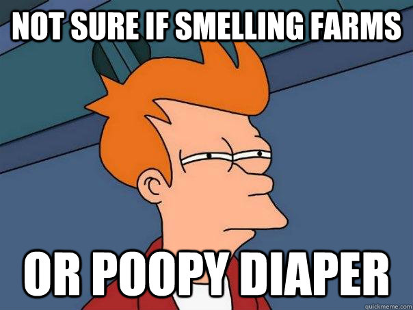 Not sure if smelling farms Or poopy diaper  Futurama Fry