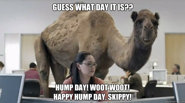 Guess what day it is?? hump day! woot woot!
Happy Hump Day, Skippy! - Guess what day it is?? hump day! woot woot!
Happy Hump Day, Skippy!  Misc