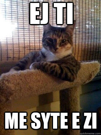 Ej ti me syte e zi  The Most Interesting Cat in the World
