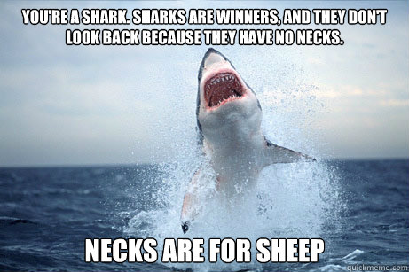 You're a shark. Sharks are winners, and they don't look back because they have no necks. NECKS ARE FOR SHEEP - You're a shark. Sharks are winners, and they don't look back because they have no necks. NECKS ARE FOR SHEEP  Lying Shark