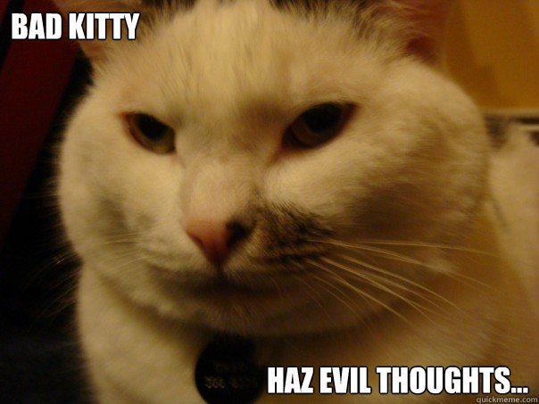 Bad Kitty  Haz Evil Thoughts...  