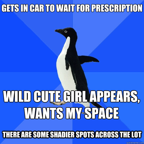 gets in car to wait for prescription
 wild cute girl appears,
wants my space  there are some shadier spots across the lot  Socially Awkward Penguin