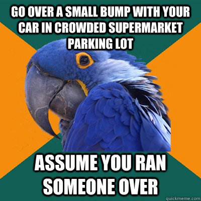 go over a small bump with your car in crowded supermarket parking lot Assume you ran someone over  Paranoid Parrot