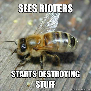 Sees rioters  Starts destroying stuff  Hivemind bee