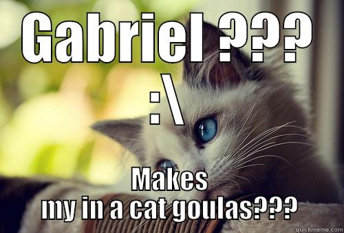 GABRIEL ??? :\ MAKES MY IN A CAT GOULAS??? First World Problems Cat