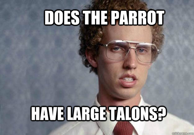 Does the parrot Have large talons?  