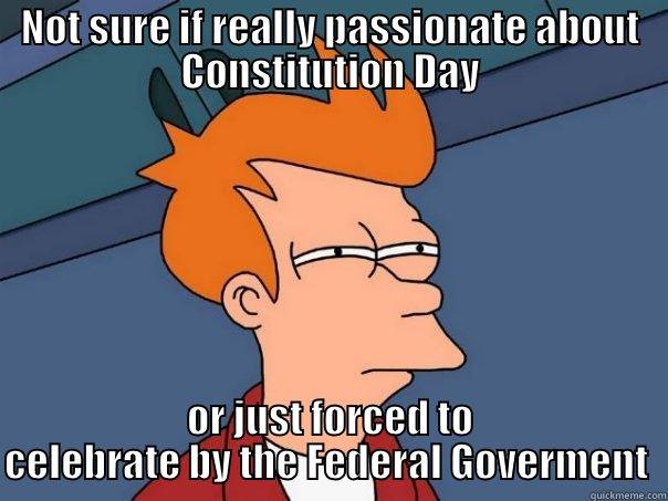 constitution day - NOT SURE IF REALLY PASSIONATE ABOUT CONSTITUTION DAY OR JUST FORCED TO CELEBRATE BY THE FEDERAL GOVERMENT  Futurama Fry