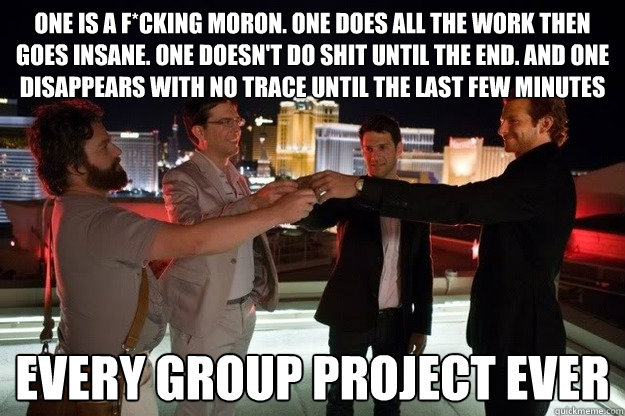 One is a f*cking Moron. One does all the work then goes insane. one doesn't do shit until the end. and one disappears with no trace until the last few minutes Every group project ever  Hangover