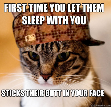 First time you let them sleep with you Sticks their butt in your face  Scumbag Cat