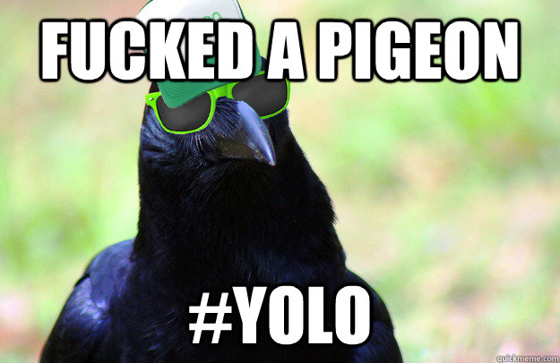 Fucked a pigeon #YOLO  Overused Catchphrase Crow