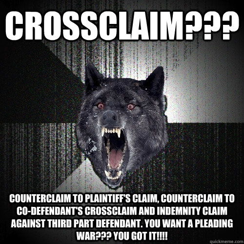 crossclaim??? counterclaim to plaintiff's claim, counterclaim to co-defendant's crossclaim and indemnity claim against third part defendant. you want a pleading war??? you got it!!!!  Insanity Wolf