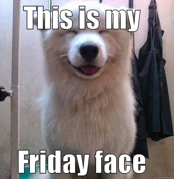 Friday dog is happy!  - THIS IS MY  FRIDAY FACE  Misc